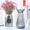 二件套玻璃花瓶欧式彩色透明百合富贵竹水培，花瓶客厅插花摆件