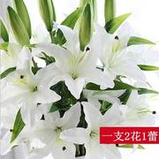 假花百合花仿真花高枝摆设高档2021客厅高级感桌面干燥花束绢