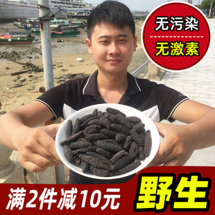 淡干野生海参干货500g散装海生螺纹海深孕妇海叁非鲜活即食辽刺参