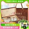 承艺特级铁观音乌龙茶，清香型茶叶礼盒装陶，瓷罐240g节日伴手礼