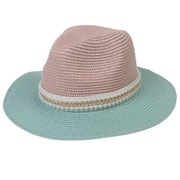 帽子礼帽爵士帽遮阳帽草帽沙滩帽男女夏天户外帽子西部牛仔太阳帽