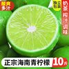 海南青柠檬新鲜10斤当季水果薄皮，小青柠奶茶店专用香水绿柠檬整箱
