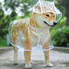 狗狗雨衣泰迪柴犬柯基专用小型犬专用中型犬，透明雨披防水宠物衣服
