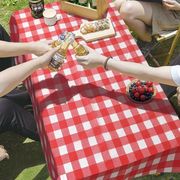 一次性野餐垫加厚长方形户外桌布防水加厚野餐垫台布露营郊游餐桌