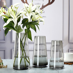 轻奢 T型北欧玻璃花瓶简约透明水养插花水培百合花插干花客厅摆件