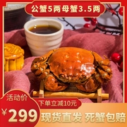 大闸蟹鲜活螃蟹10只公5两母3.5两礼盒装苏州阳澄湖协会水产海鲜