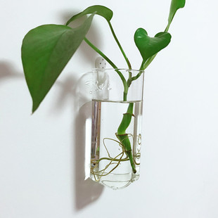 壁挂水培植物花瓶透明小清新现代简约客厅卧室挂墙上装饰玻璃花盆