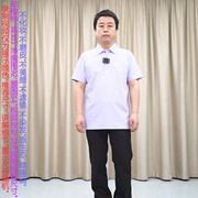 甩 翻领商务短袖T恤男 紫色 贝壳扣 棉+索罗那 普洛克 针织衫