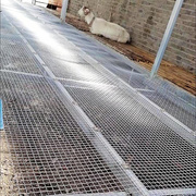 羊床漏粪网热镀锌钢丝网猪床羊床漏粪钢丝网养殖钢丝围栏网
