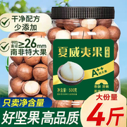 夏威夷果坚果2023孕妇零食整箱10斤年货干果仁奶油味500g