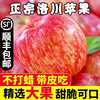 洛川苹果新鲜水果陕西正宗当季整箱红富士产地直发一级脆甜冰糖心