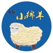 孕晚期水肿鞋办公室家居毛线棉，拖鞋孕前孕后孕期养脚透气月子鞋