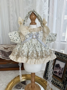 20cm棉花娃娃衣服一番赏公主，裙星黛露衣服琳娜贝尔30cm莉娜熊