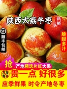 陕西大荔冬枣新鲜时令水果当季整箱5斤孕妇产地