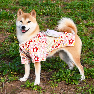 柴犬和服日式 宠物狗猫咪樱花朵母狗女款泰迪衣服浴衣舒适全棉