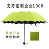 遇水开花晴雨伞折叠防晒太阳伞防紫外线，遮阳伞定制logo