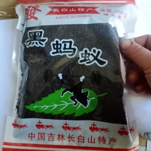 中药材黑蚂蚁长白山蚂蚁250克泡酒黑多刺蚂蚁细粉红蚂蚁新货