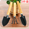 园艺养花卉工具三件套迷你小铲子，耙子锹种植蔬菜育苗多肉翻土套装