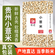 萌壳小薏米新鲜贵州小薏米薏米仁薏仁米苡仁，五谷杂粮粗粮500g