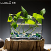 水培植物玻璃瓶长方形桌面绿萝富贵竹花盆水培花卉花瓶鱼缸器皿