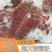 琵琶虾鲜活冷冻超大九齿扇虾新鲜速冻皮皮虾，特大龙虾海鲜水产4斤