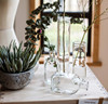 掬涵小型玻璃器皿小花瓶，花器透明干花，插花小号水培客厅装饰摆件