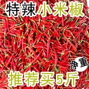 小米辣椒新鲜5斤朝天椒红辣椒指天椒特辣尖泡椒农家自种蔬菜