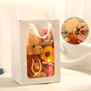 储物泰迪熊公仔特别的有意义，陪伴毛绒娃娃，实用生日礼物送朋友闺蜜