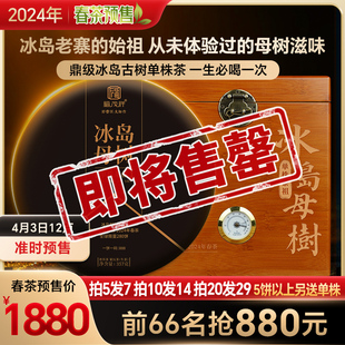 2024年春茶冰岛母树冰岛老寨，始祖普洱茶生茶，古树纯料357g饼茶