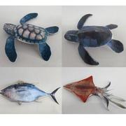 儿童手工折纸diy拼装立体3d纸质，模型海洋生物动物鱼海龟乌贼制作