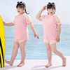 胖女童游泳衣中大童女孩分体，遮肚加肥加大码儿童12女款泳装泡温泉