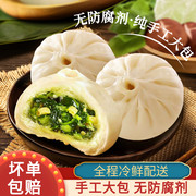 唐阿婆(唐阿婆)手工包子菜包早餐，速冻包子肉包，粉丝梅干菜馒头商用20只装