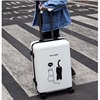 个性化创意行李箱女万向轮拉杆箱登机箱20寸印制LOGO小密码箱