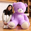 薰衣草小熊公仔紫色泰迪熊，大抱抱熊毛绒玩具布娃娃，生日礼物送女生
