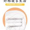 2023棉花被芯手工棉被棉絮垫被褥子加厚10斤被子保暖冬被单人