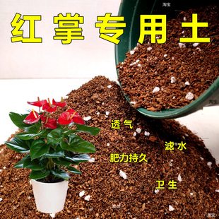 红掌专用土家庭园艺种植土弱酸性盆栽花卉培养土通用型营养土