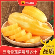 云南雪莲果黄心4.5斤装   新鲜水果当季清甜雪莲果产地直发