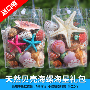 天然贝壳海螺壳摆件海星贝壳鱼缸水族箱地台造景儿童玩具礼物