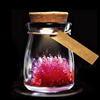 魔法自种许愿水晶种植生长刺猬水晶花结晶实验科学玩具创意小礼物