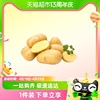 鲁韵忆乡新鲜土豆黄心洋芋2.5kg产地直发