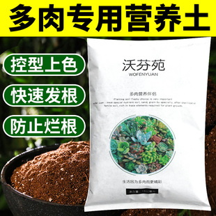 多肉植物营养土大包肥料花卉盆栽养花通用型蔬菜陶粒专用种植土