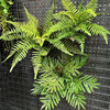 高仿真绿色蕨类植物大叶蕨草热带雨林装饰绿植墙面景观造景配材