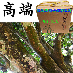 勐库冰岛坝歪百年古树茶纯料散茶