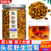 野生昆仑雪菊新疆特产昆仑山花茶，胎菊新花天山血西藏王冰山茶