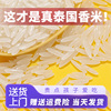 泰国香米纯进口茉莉大米2023年新米5斤猫牙米长粒香米