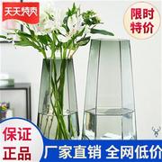 花瓶玻璃透明北欧简约网红玻璃花瓶透明创意，水养玫瑰百合花瓶客