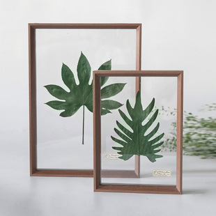 植物标本框空气透明双面玻璃相框装饰画摆件押花中式简约现代花卉