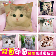 老师抱枕订制猫动物女孩可爱个性双面图片Q毛绒靠枕北定