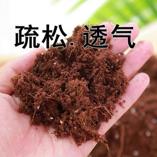 土植物用土椰砖9斤椰土椰糠椰粉转种菜养兰花基质营养土赤玉土