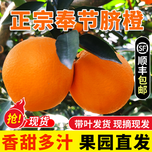 重庆奉节脐橙现摘当季新鲜水果带箱10斤正宗纽荷尔橙整箱产地直发